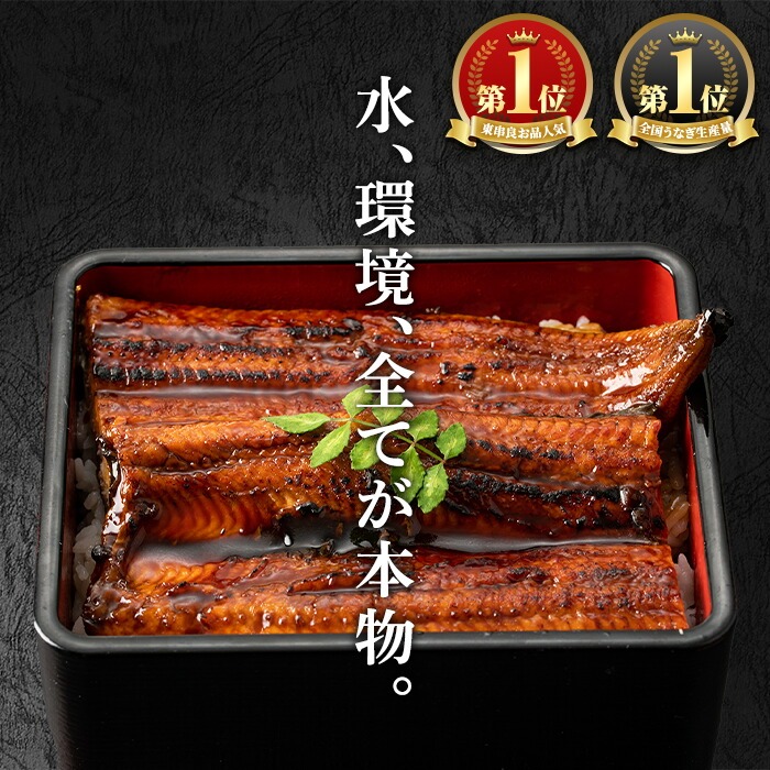 【0134332a-2604】＜4月上旬発送予定＞東串良町のうなぎ蒲焼(無頭)(2尾・計約300g・タレ、山椒付) うなぎ 高級 ウナギ 鰻 国産 蒲焼 蒲焼き たれ 鹿児島 ふるさと 人気 【アクアおおすみ】