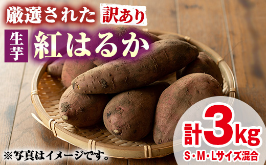 【0095921a】＜訳あり＞物産館おすすめ！厳選された紅はるか(生芋・計3kg) 生芋 焼芋 焼き芋 やきいも さつまいも さつま芋 スイーツ 期間限定 【東串良物産館ルピノンの里】