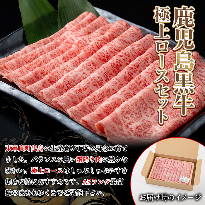 【2401710b】＜定期便・連続全5回＞鹿児島県産 黒毛和牛 A5等級 牛づくし定期便(5ヶ月連続・合計約5.2kg) 国産 牛肉 ロース モモ カルビ 切り落とし サーロインステーキ サイコロステーキ 定期便 鹿児島 焼肉 しゃぶしゃぶ すき焼き 【前田畜産たかしや】