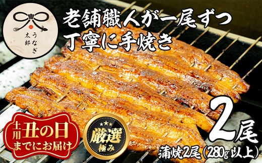 【0263708a-2607】＜丑の日までにお届け！＞鹿児島県産東串良町のうなぎ蒲焼・秘伝のタレ付き(2尾・計280g以上) うなぎ 高級 ウナギ 鰻 国産 蒲焼 蒲焼き たれ 鹿児島 うな重 うな丼 土用の丑の日 【うなぎ太郎】