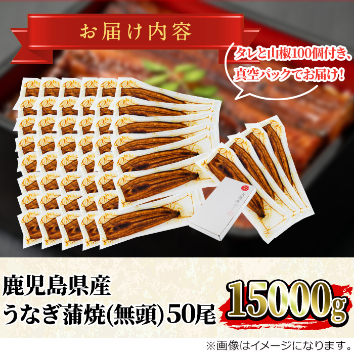 【5004307a】＜大満足＞東串良町のうなぎ蒲焼(無頭)(300g×50尾・計約15000g・タレ、山椒付)うなぎ 高級 ウナギ 鰻 国産 蒲焼 蒲焼き たれ 鹿児島 ふるさと 人気【アクアおおすみ】