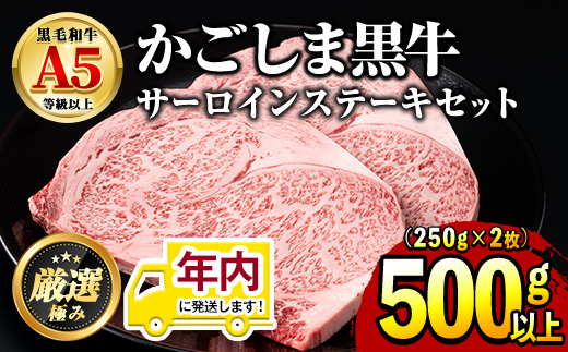 【30963】12月11日までのご入金で年内発送！鹿児島県産黒毛和牛！A5等級サーロインステーキ(計500g・約250g×2枚)国産 牛肉 肉 冷凍 サーロイン 鹿児島 ステーキ 焼肉 BBQ バーベキュー【前田畜産たかしや】