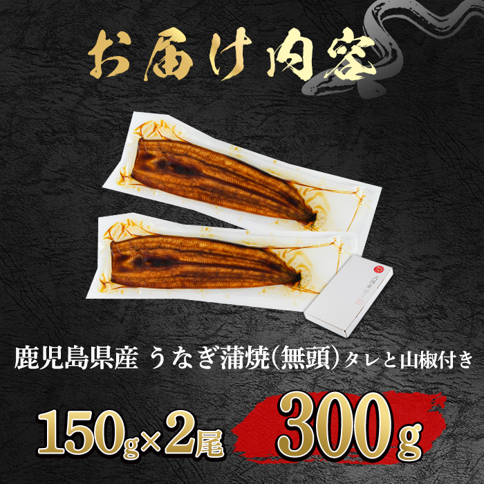 【0134332a-2607】＜土用の丑の日までにお届け＞東串良町のうなぎ蒲焼(無頭)(2尾・計約300g・タレ、山椒付)うなぎ 高級 ウナギ 鰻 丑の日 国産 蒲焼 蒲焼き たれ 国産 九州産 鹿児島県産 ふるさと 人気 【アクアおおすみ】