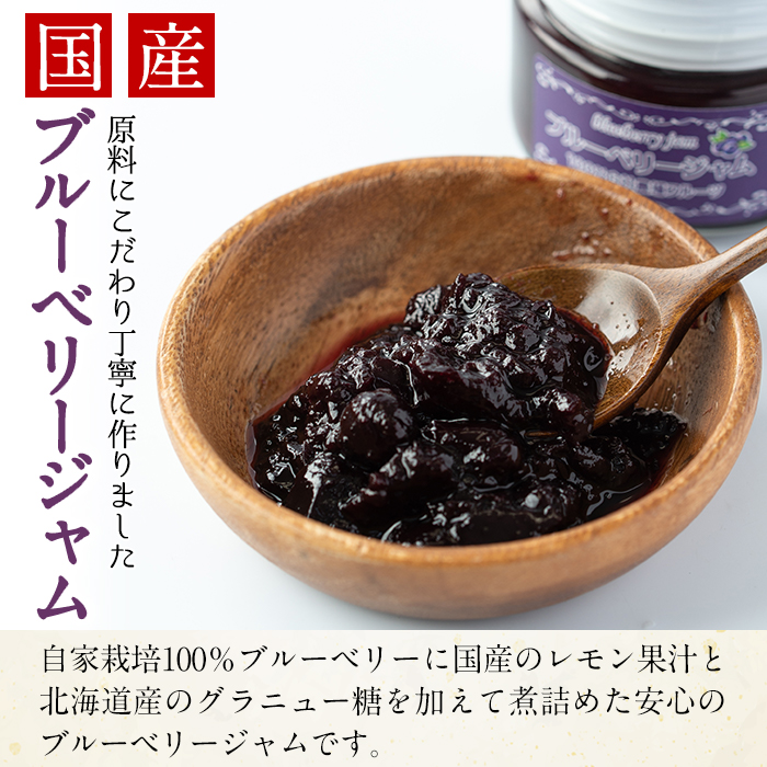 【12161】贅沢な国産ブルーベリージャム(100g×6個・計600g)ジャム 瓶 果物 果実 フルーツ パン【村山製油】
