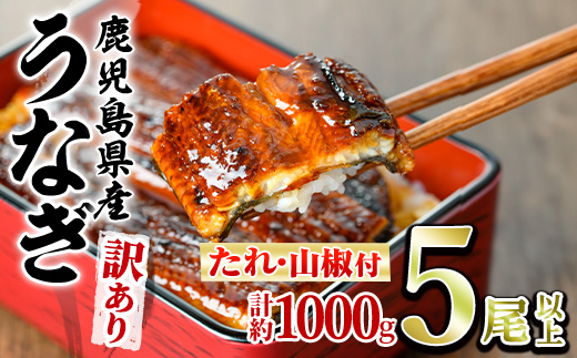 【0274358a】＜訳あり＞東串良町のうなぎ蒲焼(無頭)(5尾以上・計約1kg・タレ、山椒付) うなぎ 高級 ウナギ 鰻 国産 蒲焼 蒲焼き たれ 鹿児島 ふるさと 人気【アクアおおすみ】