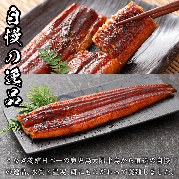 【18720-F】＜父の日ギフト＞大隅産うなぎの蒲焼(有頭)＜計約420g(約140g×3尾)＞ うなぎ 高級 ウナギ 鰻 国産 蒲焼 蒲焼き たれ 鹿児島 【永峯うなぎ店】