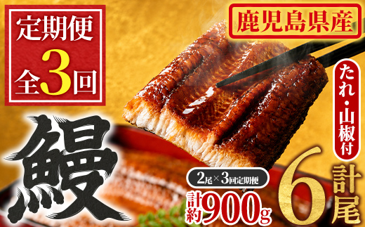 【0304303b】＜定期便・全3回＞東串良町のうなぎ蒲焼(無頭)(2尾・計約300g・タレ、山椒付×3回)うなぎ 高級 ウナギ 鰻 国産 蒲焼 蒲焼き たれ 鹿児島 ふるさと 人気【アクアおおすみ】