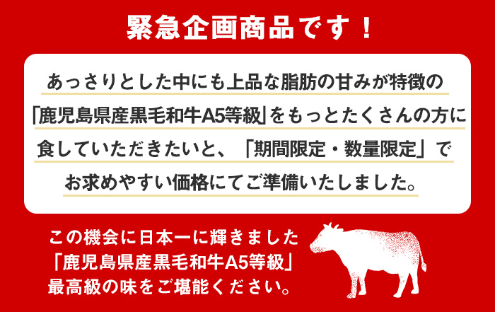 【0131709a】【緊急企画！期間限定】鹿児島県産黒毛和牛！A5等級サイコロステーキ(モモ：500g) 国産 牛肉 肉 お肉 もも肉 ステーキ 焼肉 BBQ バーベキュー カレー シチュー 煮込み 冷凍【前田畜産たかしや】