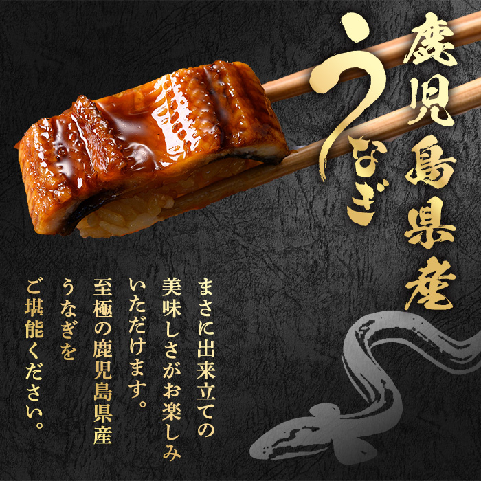 【0074336a】＜食べきりサイズ！＞東串良町のうなぎ蒲焼(無頭)(計2尾・計約200g・タレ、山椒付) うなぎ 蒲焼長焼 ウナギ 鰻 蒲焼き 国産うなぎ 国産 九州産 鹿児島 鹿児島県産 人気 ランキング 高級 家庭用 おすすめ たれ さんしょう 【アクアおおすみ】