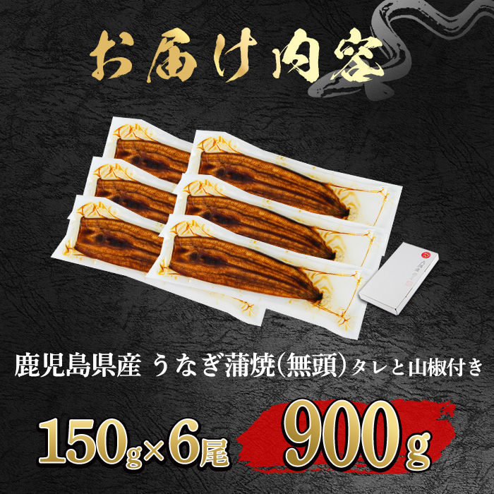 【0394344a-2602】＜2月上旬発送予定＞東串良町のうなぎ蒲焼(無頭)(6尾・計約900g・タレ、山椒付) うなぎ 高級 ウナギ 鰻 国産 蒲焼 蒲焼き たれ 鹿児島 ふるさと 人気 【アクアおおすみ】