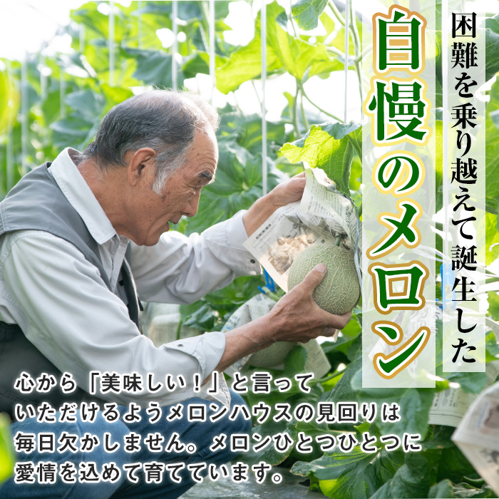 ã0432209bãïŒå®æäŸ¿ã»å
š2å(2æã»4æ)ïŒãŸããŸãè²ã£ããã¹ã¯ã¡ãã³(2çÃ2åã»èš6.6kg以äž) ãã¹ã¯ã¡ãã³ ãã«ãŒã æç© æå® 6ãã æ°ééå® æééå®ããŸãçŸåèžçµåã