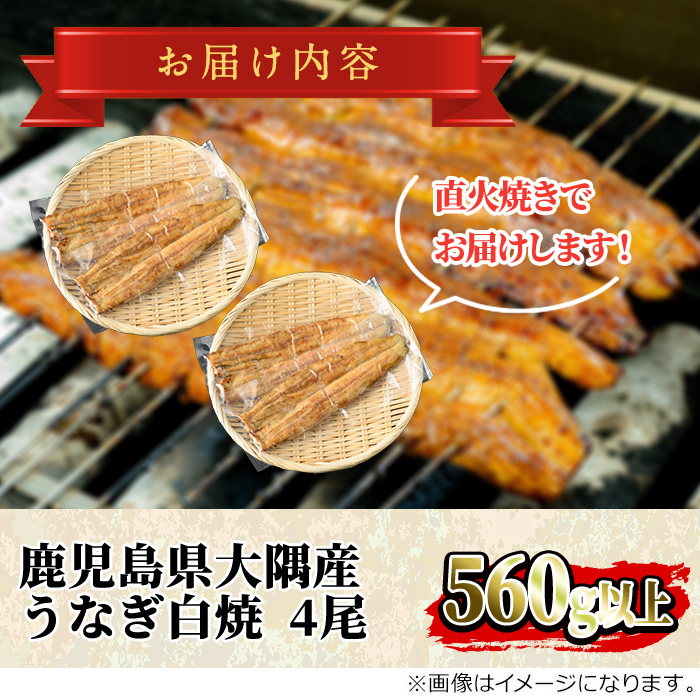 縲0523718a縲鷹ケソ蜈仙ウカ逵檎肇譚ア荳イ濶ッ逕コ縺ョ縺縺ェ縺守區辟シ(4蟆セ繝サ險560g莉・荳) 縺縺ェ縺 鬮倡エ 繧ヲ繝翫ぐ 魏サ 蝗ス逕」 逋ス辟シ縺 鮖ソ蜈仙ウカ 縲舌≧縺ェ縺主、ェ驛弱