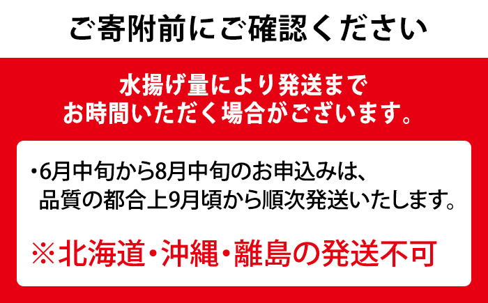 【0203205a】鮮度が命！鮮魚問屋が厳選した『天然真鯛』(1-2尾・総量1.5kg以上)魚 魚介類 鮮魚 海鮮 煮つけ 塩焼き【江川商店】