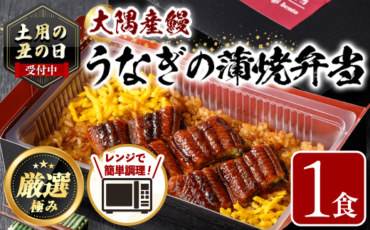 【0065710a】《土用の丑の日受付中！》＜おためし＞大隅産鰻の冷凍弁当(冷凍品)(1食分・計240g タレ、山椒付) 丑の日 うなぎ 高級 ウナギ 鰻 うなぎの蒲焼 蒲焼 国産 ごはん ご飯 お米 おかず 鹿児島 ふるさと レンチン 電子レンジ 【南嘉起屋】