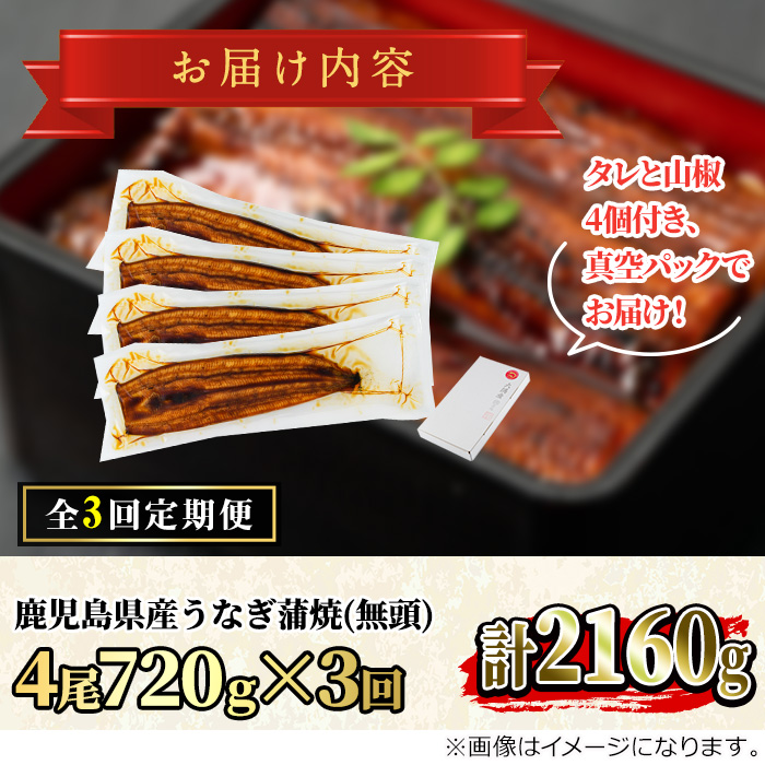 【80042】＜定期便・全3回＞東串良町のうなぎ蒲焼(無頭)(4尾・計約720g・タレ、山椒付×3回)うなぎ 高級 ウナギ 鰻 国産 蒲焼 蒲焼き たれ 鹿児島 ふるさと 人気【アクアおおすみ】