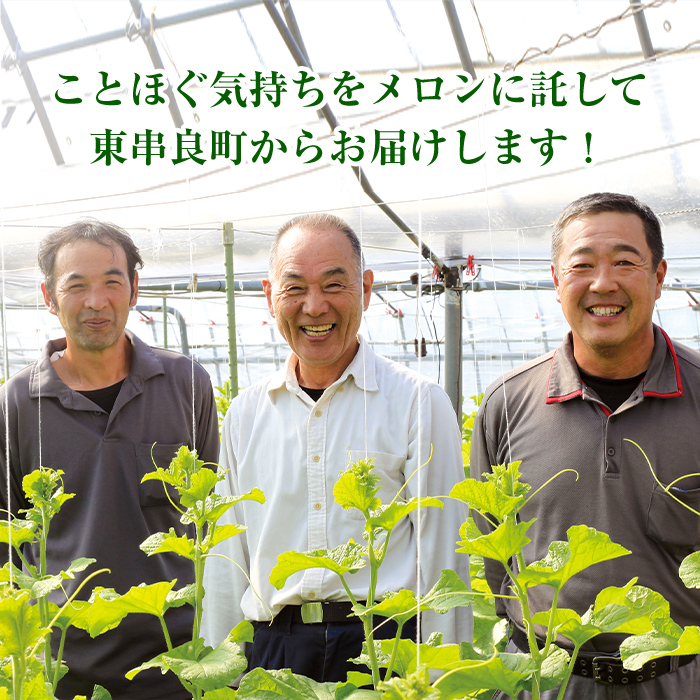 【0222203a】まるまる育ったマスクメロン(2玉・計3.3kg以上) マスクメロン フルーツ 果物 果実 3キロ 数量限定 期間限定【まる美園芸組合】