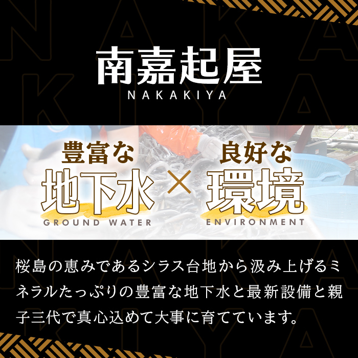 【0085704a】＜おためし＞大隅産鰻のきざみうなぎ弁当(冷凍品)(1食分・計240g タレ、山椒付) うなぎ 高級 ウナギ 鰻 きざみ鰻 国産 ごはん ご飯 お米 おかず 鹿児島 ふるさと レンチン 電子レンジ 【南嘉起屋】