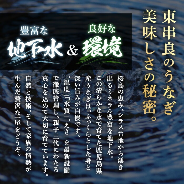 【0304349a-2608】＜8月上旬発送予定＞東串良町のうなぎ蒲焼(無頭)(6尾・計約900g・タレ、山椒付) うなぎ 高級 ウナギ 鰻 国産 蒲焼 蒲焼き たれ 鹿児島 ふるさと 人気 【アクアおおすみ】
