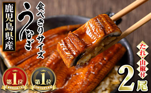 【0074336a】＜食べきりサイズ！＞東串良町のうなぎ蒲焼(無頭)(計2尾・計約200g・タレ、山椒付) うなぎ 蒲焼長焼 ウナギ 鰻 蒲焼き 国産うなぎ 国産 九州産 鹿児島 鹿児島県産 人気 ランキング 高級 家庭用 おすすめ たれ さんしょう 【アクアおおすみ】