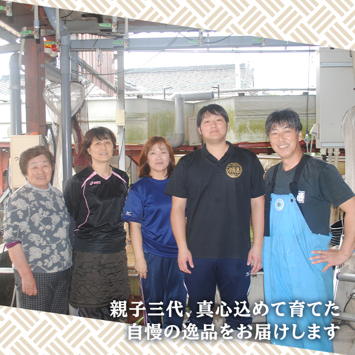 【0085704a】＜おためし＞大隅産鰻のきざみうなぎ弁当(冷凍品)(1食分・計240g タレ、山椒付) うなぎ 高級 ウナギ 鰻 きざみ鰻 国産 ごはん ご飯 お米 おかず 鹿児島 ふるさと レンチン 電子レンジ 【南嘉起屋】