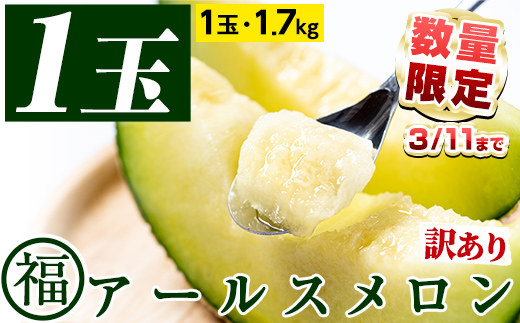 【0101117a】【期間限定・数量限定】＜訳あり＞マル福の高級アールスメロン(1玉・1.7kg) メロン フルーツ 果物 果実 1キロ 数量限定 期間限定 【マル福園芸組合】