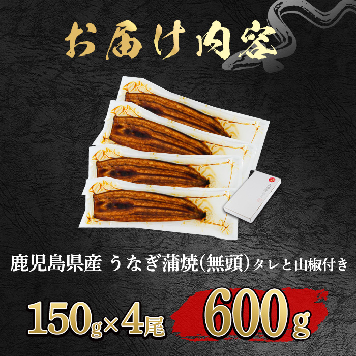 【0264343a-2603】＜3月上旬発送予定＞東串良町のうなぎ蒲焼(無頭)(4尾・計約600g・タレ、山椒付) うなぎ 高級 ウナギ 鰻 国産 蒲焼 蒲焼き たれ 鹿児島 ふるさと 人気 【アクアおおすみ】