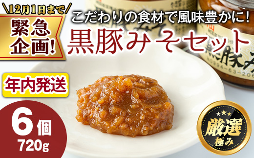 【0101314a】【緊急企画！期間限定】鹿児島特産！黒豚みそ(120g×6個) 味噌 調味料 黒豚味噌 豚味噌【村山製油】