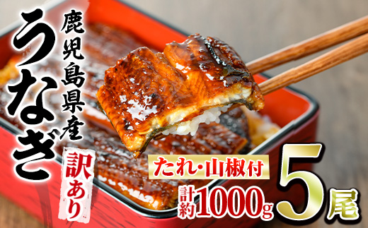 【0304313a】＜訳あり＞東串良町のうなぎ蒲焼(無頭)(5尾以上・計約1kg・タレ、山椒付) うなぎ 高級 ウナギ 鰻 国産 蒲焼 蒲焼き たれ 鹿児島 ふるさと 人気【アクアおおすみ】