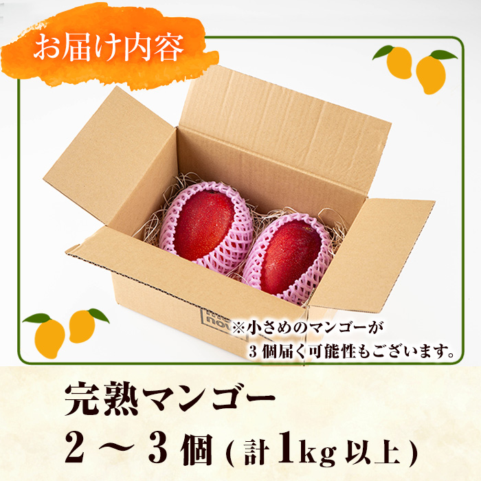 ã0145910aãïŒå
è¡äºçŽã»æ°ééå®ïŒååœé¹¿å
å³¶çç£ã®å€ªéœã®æµã¿ïŒå®çãã³ãŽãŒ(èš1kg以äžã»2-3åå
¥ã) æç© ãã«ãŒã æå® ãã¶ãŒã åœç£ å·èµ ãæ±äž²è¯ç©ç£é€šã«ããã³ã®éã