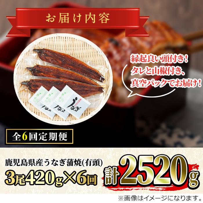 【108903b】＜定期便・全6回＞大隅産うなぎの蒲焼 (計約2520g(約140g×3尾)×6回・有頭) うなぎ 高級 ウナギ 鰻 国産 蒲焼 蒲焼き たれ 鹿児島【永峯うなぎ店】