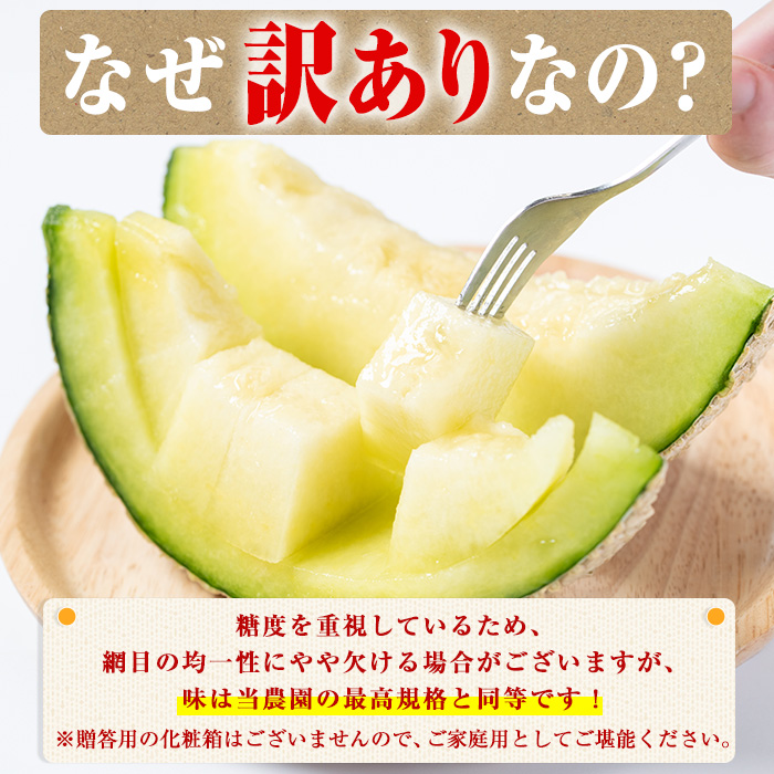 【0101117a】【期間限定・数量限定】＜訳あり＞マル福の高級アールスメロン(1玉・1.7kg) メロン フルーツ 果物 果実 1キロ 数量限定 期間限定 【マル福園芸組合】