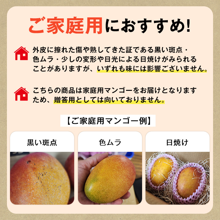 【0105933a】物産館おススメ！東串良町産 丸ごと冷凍マンゴー(計800g・2-3個入り) 果物 フルーツ 果実 デザート 国産 冷凍 ご家庭用 【東串良物産館ルピノンの里】