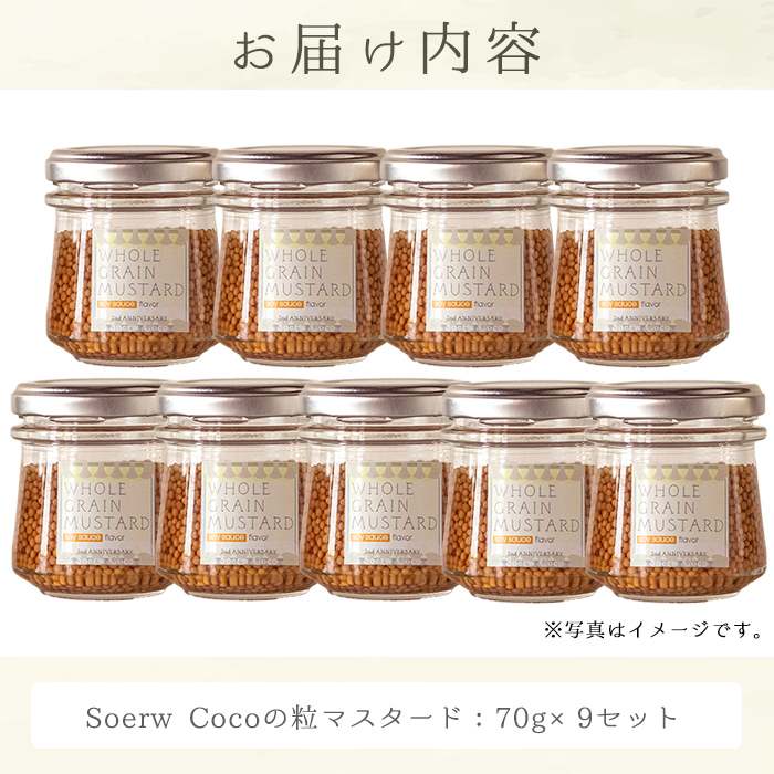 縲0214214a縲全oerw Coco縺ョ邊偵槭せ繧ソ繝シ繝(70gテ9繧サ繝繝) 隱ソ蜻ウ譁 縺九i縺 譁咏炊 縲色oodシSpiceSoerwCoco縲