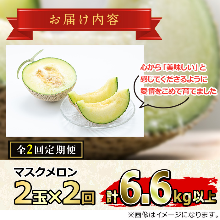 ã0432209bãïŒå®æäŸ¿ã»å
š2å(2æã»4æ)ïŒãŸããŸãè²ã£ããã¹ã¯ã¡ãã³(2çÃ2åã»èš6.6kg以äž) ãã¹ã¯ã¡ãã³ ãã«ãŒã æç© æå® 6ãã æ°ééå® æééå®ããŸãçŸåèžçµåã