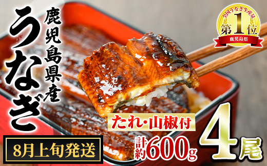 【0204348a-2608】＜6月上旬発送予定＞東串良町のうなぎ蒲焼(無頭)(4尾・計約600g・タレ、山椒付) うなぎ 高級 ウナギ 鰻 国産 蒲焼 蒲焼き たれ 鹿児島 ふるさと 人気 【アクアおおすみ】
