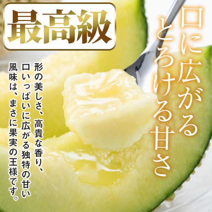 【0222203a】まるまる育ったマスクメロン(2玉・計3.3kg以上) マスクメロン フルーツ 果物 果実 3キロ 数量限定 期間限定【まる美園芸組合】