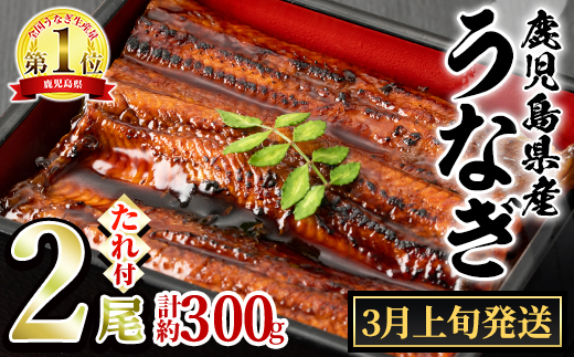 0131304a】鹿児島特産！黒豚みそ(120g×6個)味噌 調味料 黒豚味噌 豚