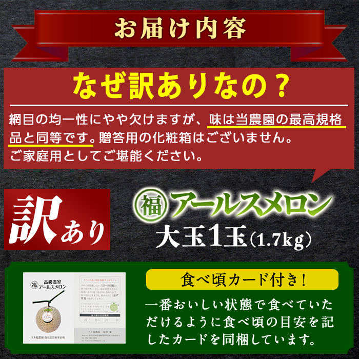 【0111109a】《先行予約受付中！》＜訳あり＞マル福の高級アールスメロン(1玉・1.7kg)メロン フルーツ 果物 果実 1キロ 数量限定 期間限定【マル福園芸組合】