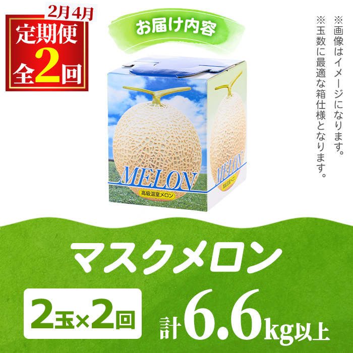 【0472212b】＜定期便・全2回(2月・4月)＞まるまる育ったマスクメロン(2玉×2回・計6.6kg以上) マスクメロン フルーツ 果物 果実 6キロ 数量限定 期間限定【まる美園芸組合】