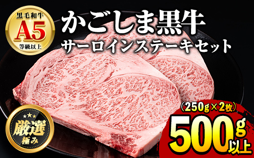 【30963】鹿児島県産黒毛和牛！A5等級サーロインステーキ(計500g・約250g×2枚) 国産 牛肉 肉 冷凍 サーロイン 鹿児島 ステーキ 焼肉 BBQ バーベキュー 【前田畜産たかしや】