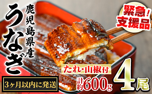 【0224337a】＜3ヶ月以内に発送予定＞東串良町のうなぎ蒲焼(無頭)(4尾・計約600g・タレ、山椒付) うなぎ 高級 ウナギ 鰻 国産 蒲焼 蒲焼き たれ 鹿児島 ふるさと 人気 【アクアおおすみ】