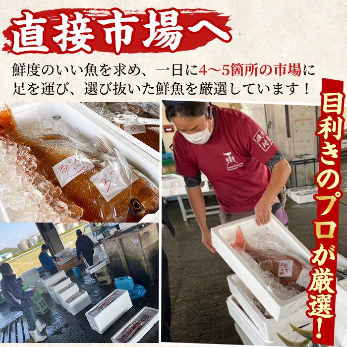 【0301103b】＜定期便・全2回(2月・3月)＞「冬の鮮魚BOX」朝獲れ発送！鮮魚問屋が厳選したおまかせ鮮魚(約2kg程度×2回)魚 魚介類 鮮魚 海鮮 詰め合わせ セット 刺身 天ぷら 煮つけ 塩焼き【江川商店】