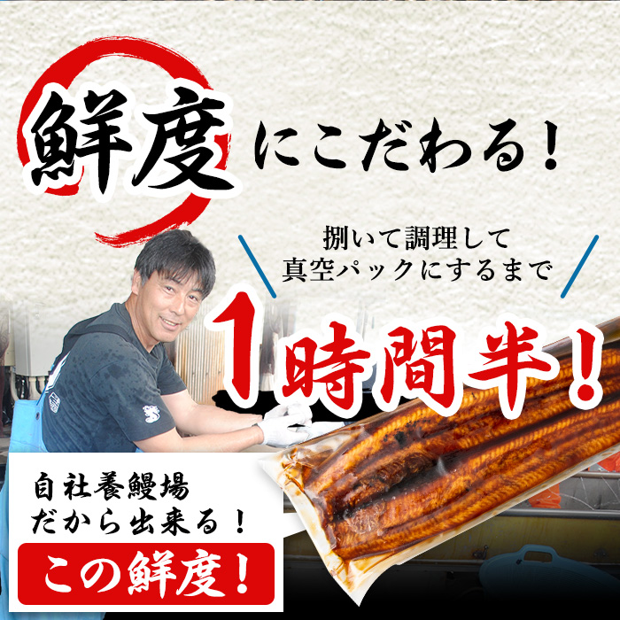 【11028】東串良町のうなぎ肝の素焼き(計500g・100g×5P)うなぎ 高級 ウナギ 鰻 国産 鹿児島 ふるさと 人気【アクアおおすみ】