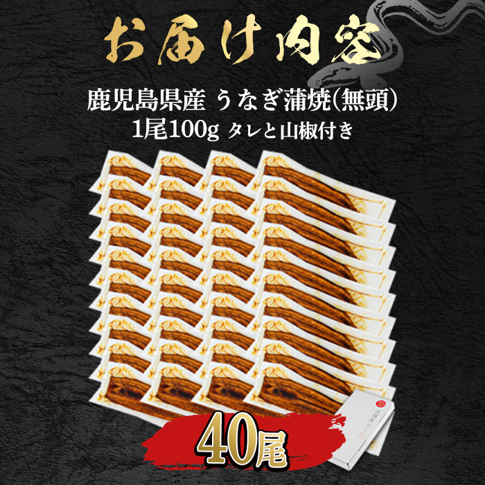 【1434330a】＜食べきりサイズ！＞東串良町のうなぎ蒲焼(無頭)(40尾・計4000g・タレ、山椒付) うなぎ 高級 ウナギ 鰻 国産 蒲焼 蒲焼き たれ 鹿児島 ふるさと 人気 【アクアおおすみ】