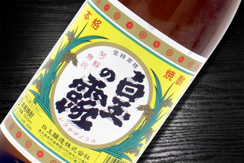 No.4033-1　薩摩の名門　白玉四天王Cセット　一升瓶４本セット