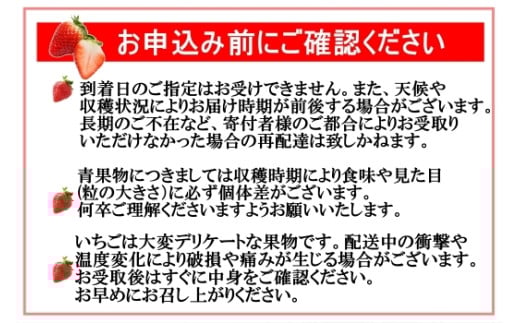 No.1400-2 横原さんちのいちご 『 さがほのか 』 約1kg