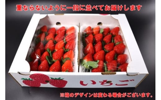 No.1400-2 横原さんちのいちご 『 さがほのか 』 約1kg