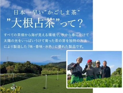 No.059-1 鹿児島茶【ノウフクJAS認証茶】（100g×1袋）