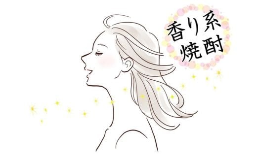 No.2123　Bliss-Time(ブリス-タイム) 　６本入り（500ml）