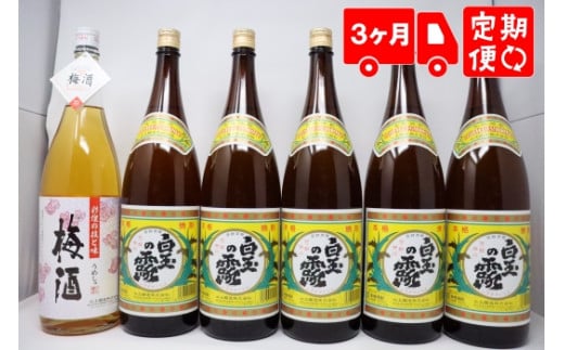 TK-150-1【３ヶ月定期便】白玉醸造 《白玉の露・梅酒》焼酎6本セット（１升瓶）